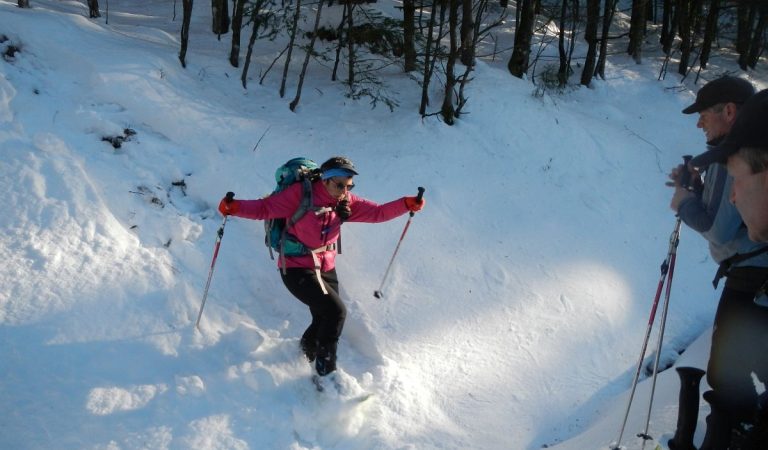 Raquettes à Neige