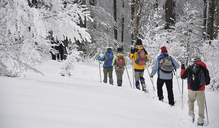 Raquettes à Neige