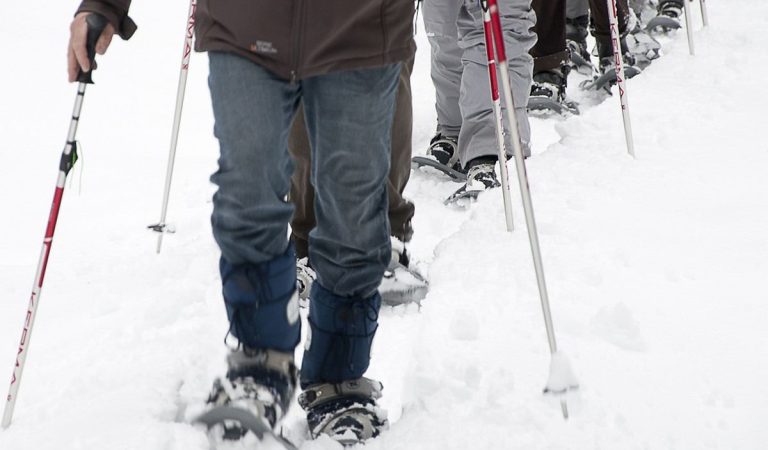 Raquettes à Neige